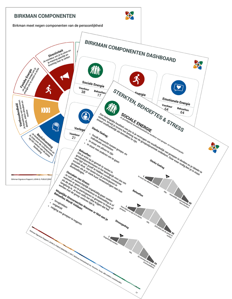 Wat-meten-we-Birkman-gedragscomponenten